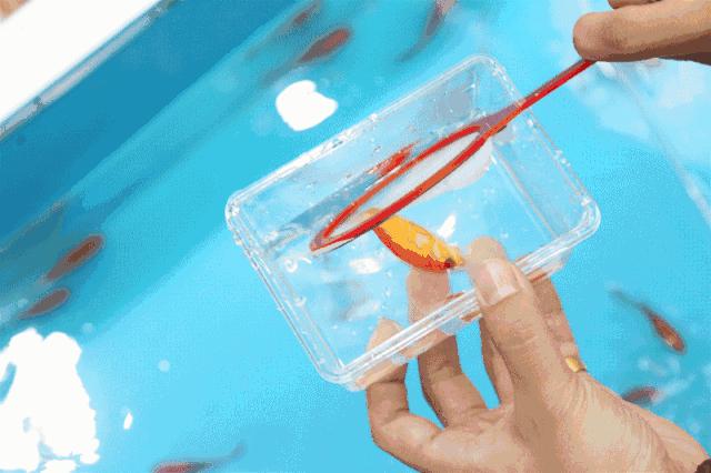 没有孵过混堂的上海冬天，是不完整的！