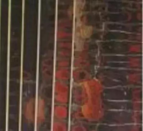 古琴弦会断吗,古琴有断纹