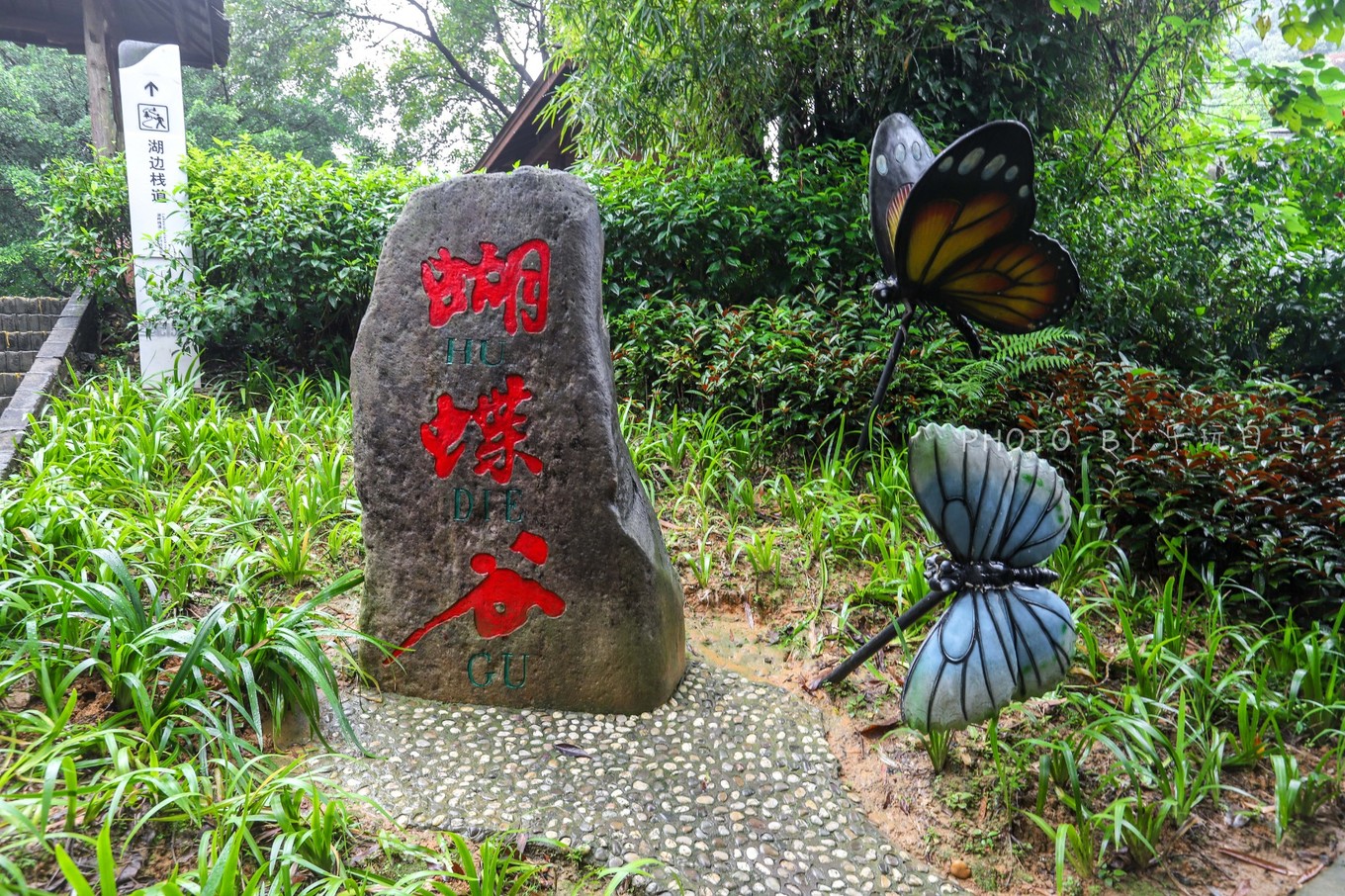 享受鼎湖山绝美风景,换个角度的风景