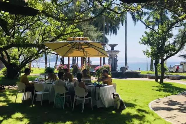 深圳溪涌黄金度假海滩,深圳溪涌度假村房子