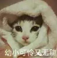 在荣安驾校学车,上海学车荣安