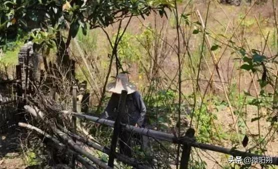 阳朔小众景点阳朔古镇,阳朔最值得去的是哪些景点