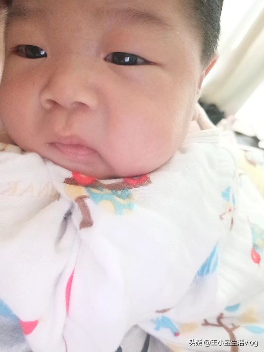 2个月的宝宝该如何养育,写给新手妈妈们(三)