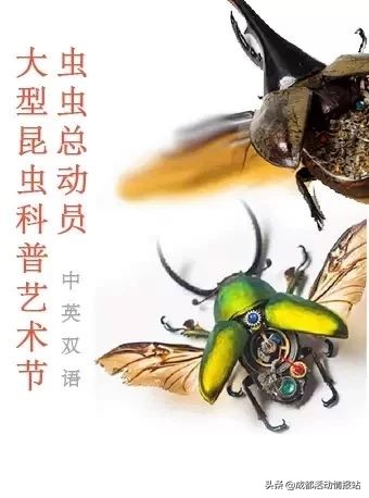 6.26活动建议,6.28到7.4的活动