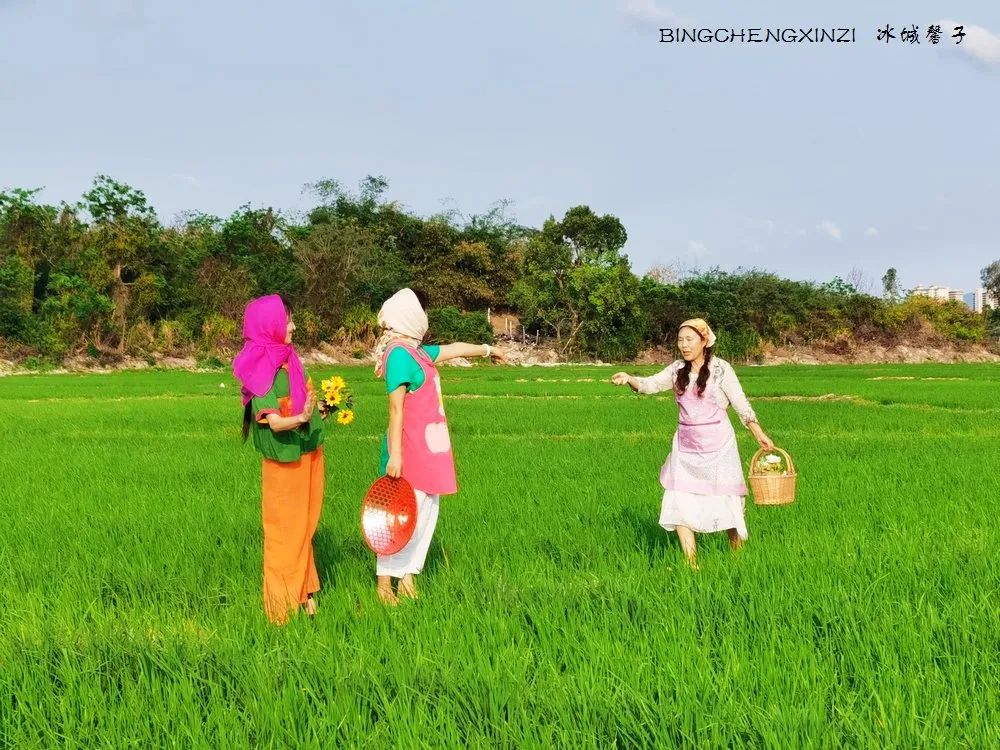 做把“村姑”，走进海南灯火灿烂的火龙果园