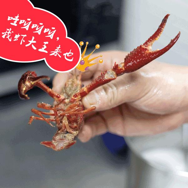 虾贝勒299元,虾贝勒上海店