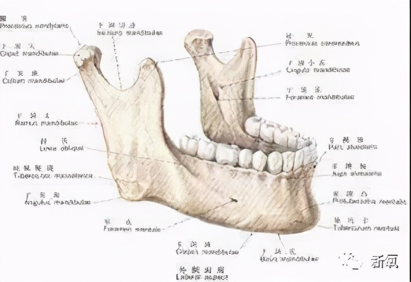 那些一刀切削骨的明星还好吗？后遗症一大堆，小方脸成最大赢家