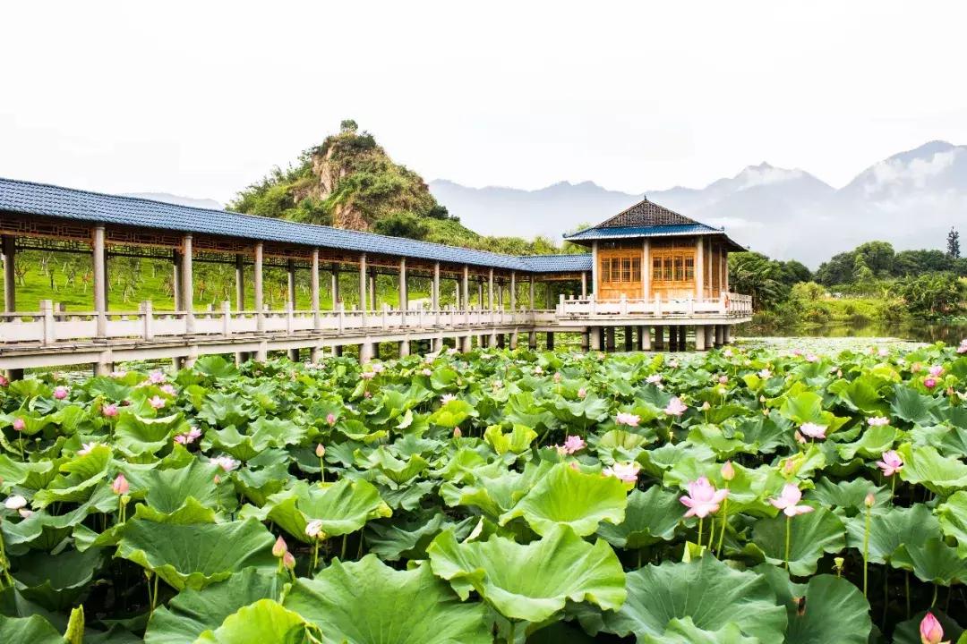 文科能报考福州大学的专业,福州大学多少分可以任选专业