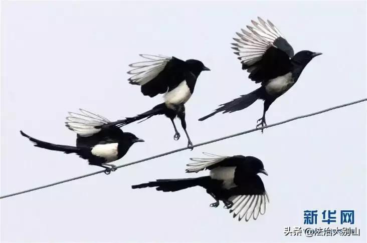 颠覆你认知的16个买房冷知识,广西十大颠覆你认知的冷知识