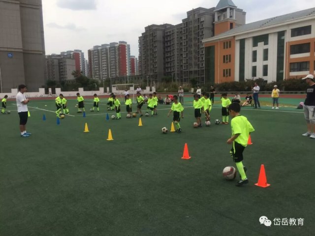 山东校园足球建设,省政府表扬山东泰山足球队