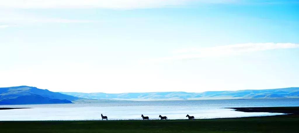 西藏阿里改则自驾游完整攻略,西藏自驾旅游八宿至波密