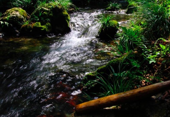苏轼最经典词十首,苏轼写了一首很是肉麻的词