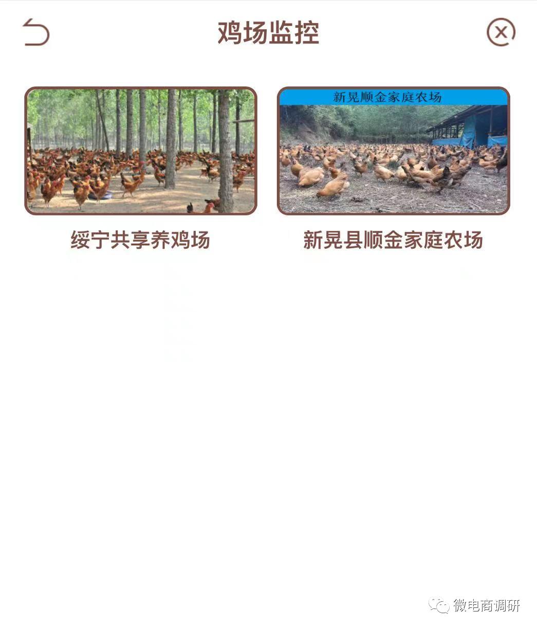 惠商在线养鸡好吗,惠商在线养鸡