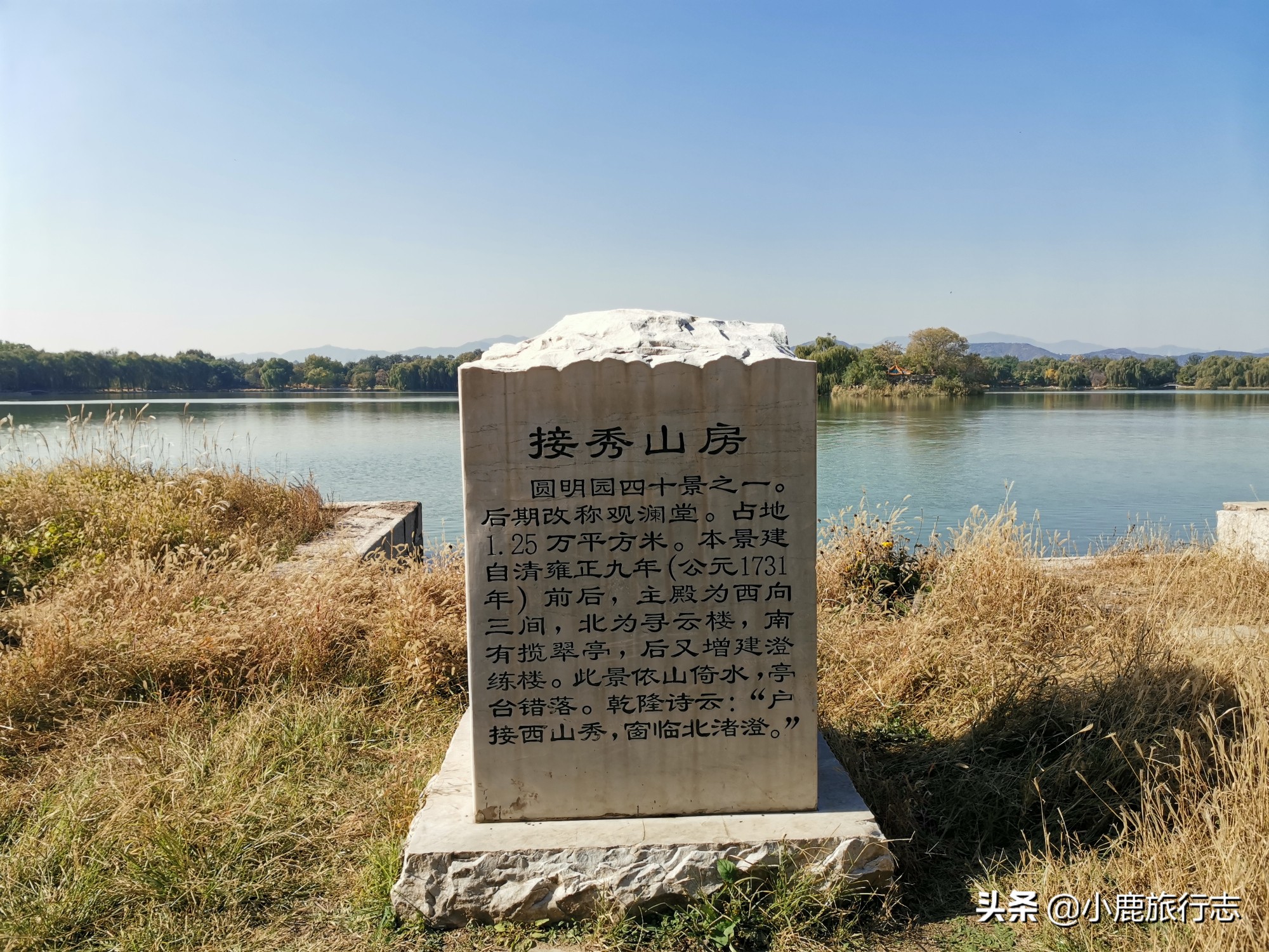 北京免费玩森林公园有哪些,北京森林公园一日游最佳攻略