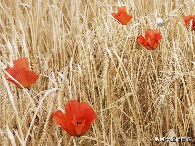 秋季换香？从姐姐们用的香水里找灵感吧