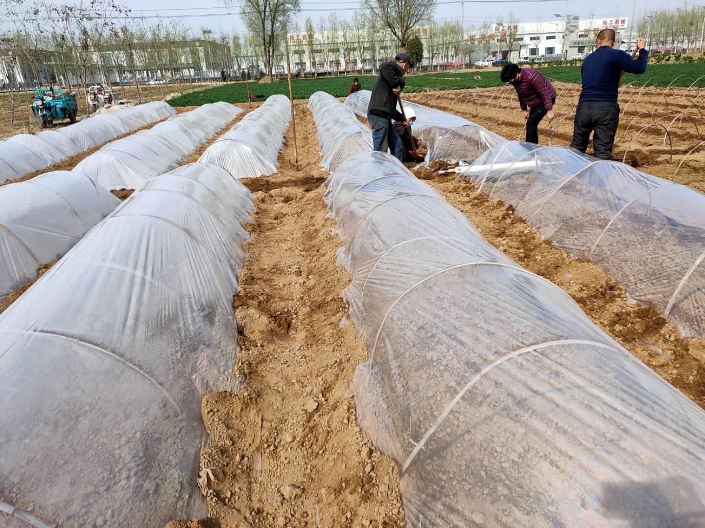 鸡泽龙泉疫情防控,鸡泽县疫情防控