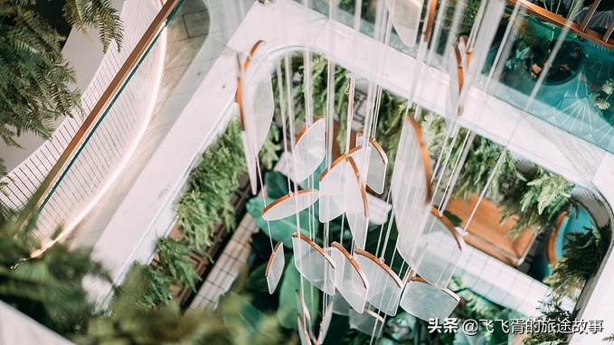 一分钟带你吃遍成都网红美食,成都必吃十大网红餐厅