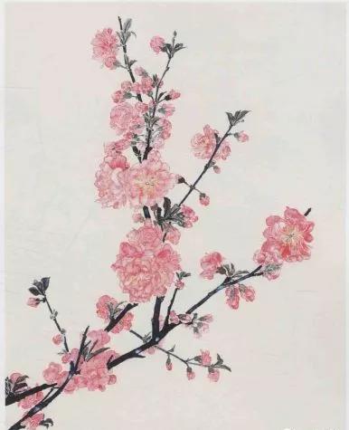 学画春天和桃花,学画简单春天画