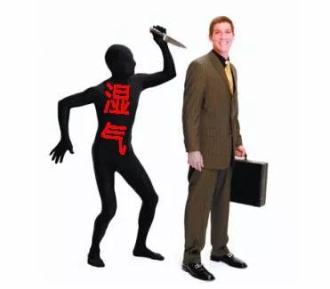 祛湿内调食谱,祛湿饮食疗法