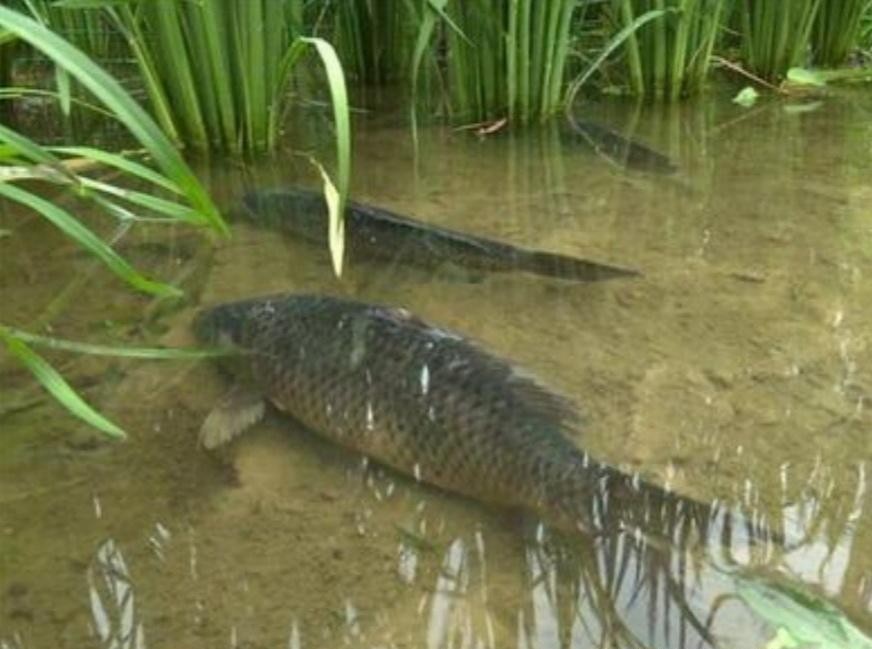 有十万元投资什么生意好,有十万块钱投资什么好赚