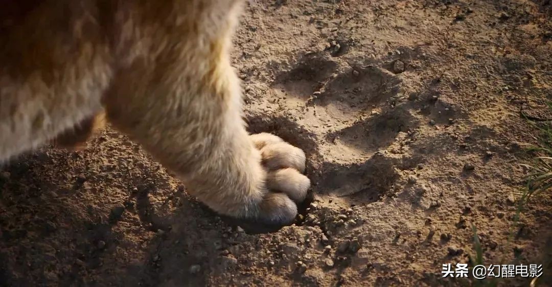 “这简直是草原上的灾难片，有人烧2.5亿拍出来毁一代人的童年”