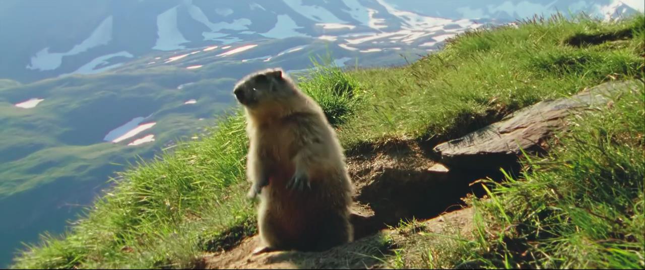 我们与父母之间的代沟与爱,我们与父母之间的代沟有哪些