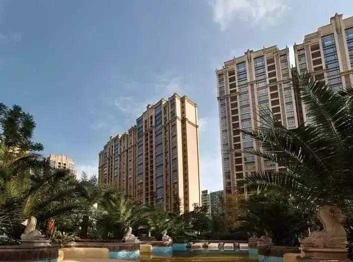 开盘爆红,开盘火爆