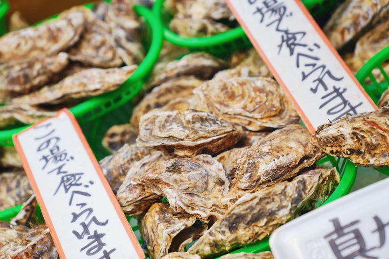 日本小众路线冬,日本冬天观光公路