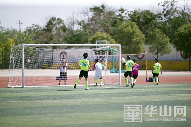 陕西渭南乙级足球联赛,渭南2019甲级足球联赛时间