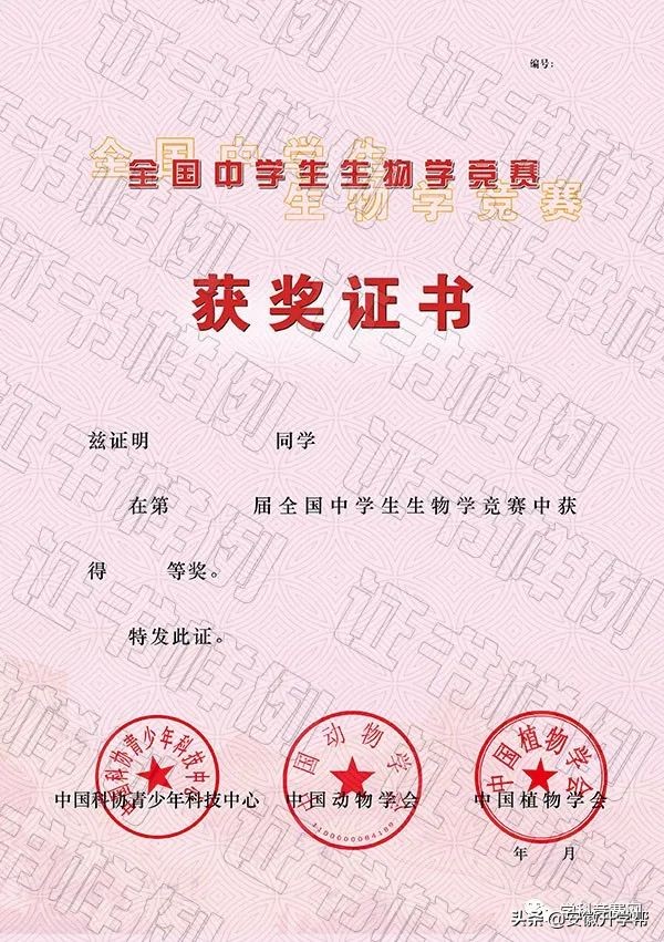 2021年五大学科竞赛金牌分布,2020年五大学科竞赛日程出炉