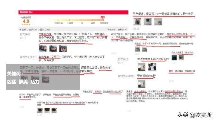 欧赛斯带你全方位洞察甲鱼市场发展趋势及竞争格局