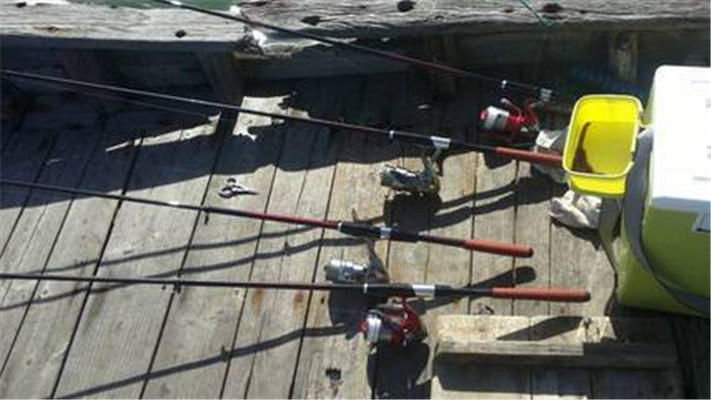 怎样选择鱼竿比较好,怎样选择鱼竿最合适