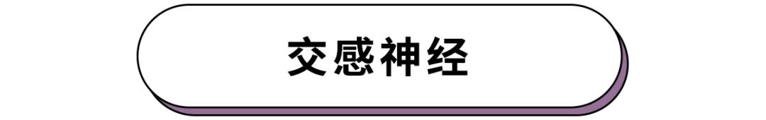 紧张想上厕所是什么原因,考试紧张想上厕所吃什么能缓解