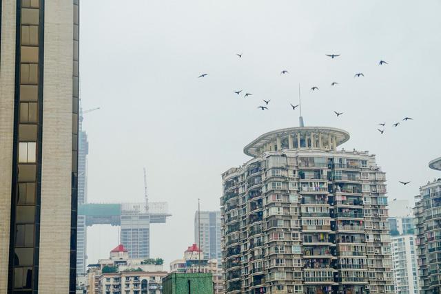 重庆的打卡圣地有没有重庆解放碑 (重庆打卡地解放碑)