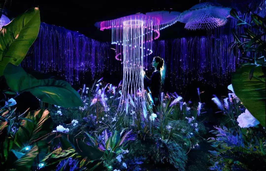 黑暗迷宫超大型环绕实景迷宫,巨型沉浸式迷宫