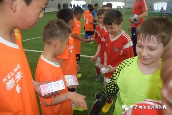 齐齐哈尔市冰雪体育,齐齐哈尔市冰雪运动赛事统计表