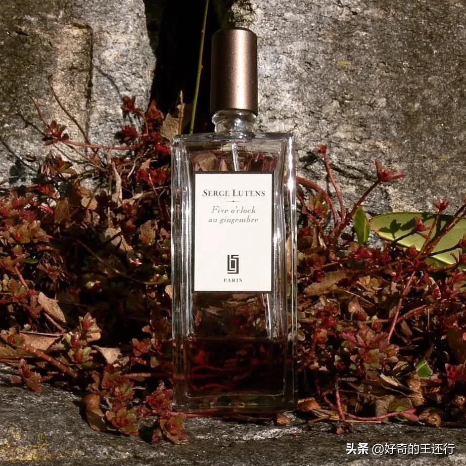 芦丹氏五时姜茶测评,芦丹氏姜香