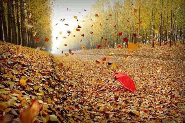 提高财运的口诀四句,发小财靠勤发大财靠命