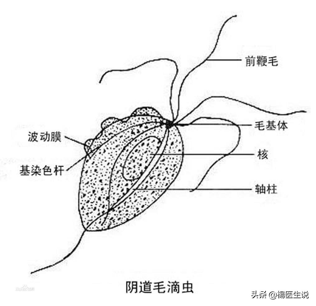 女性应如何做好*处私**护理？