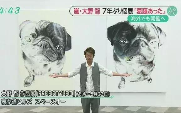 中国偶像团体解散的有哪些,偶像团体解散粉丝哭