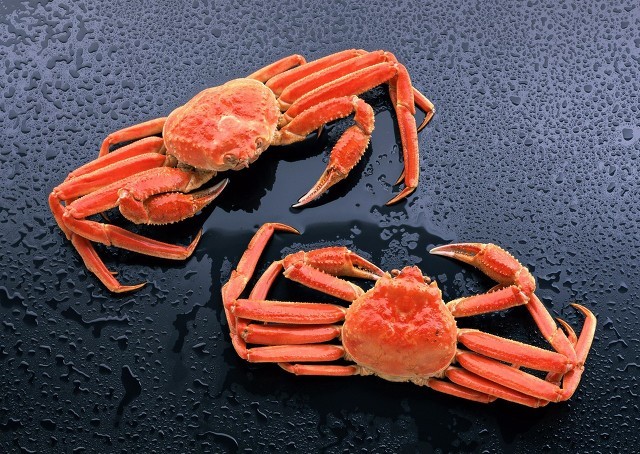 男人体寒肾虚的症状和调理方法,肾虚的表现症状及调理方法