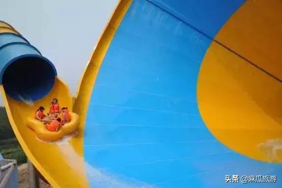 「县长带你去旅游」“古惑仔”引发首个“蛊惑灾”