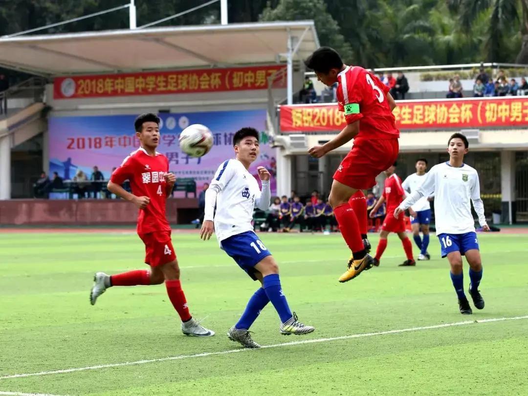 段刘愚深圳哪里人,学霸段刘愚哪所学校