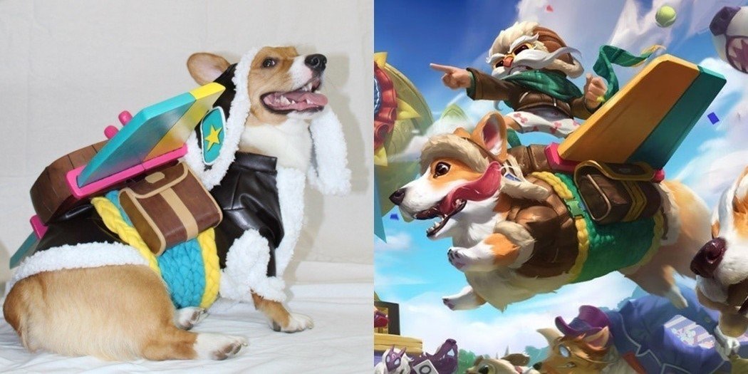 lol愚人节皮肤柯基,英雄联盟柯基皮肤