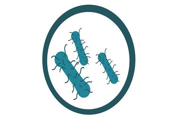 过度减肥对肠道有什么危害,过度清肠的危害