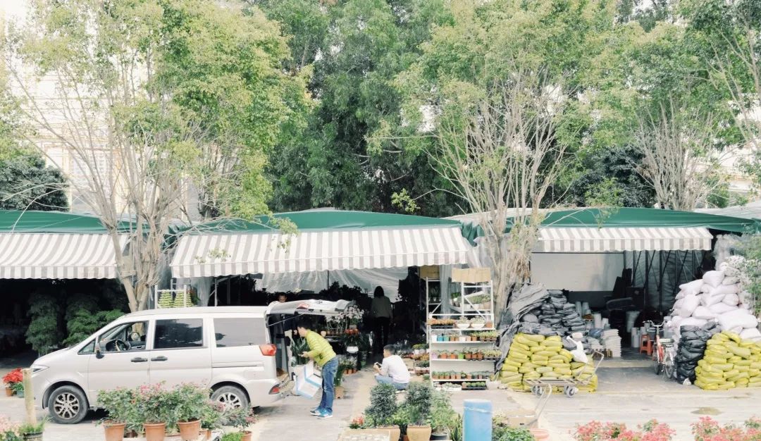 香蜜湖长廊,深圳市香蜜湖