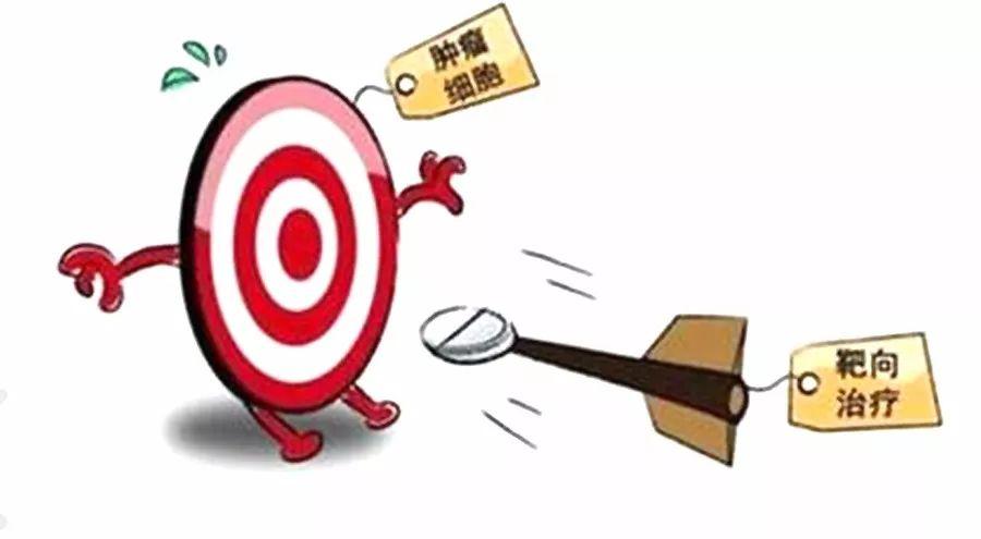 利用“生物导弹”——靶向治疗把晚期癌症转成慢性病