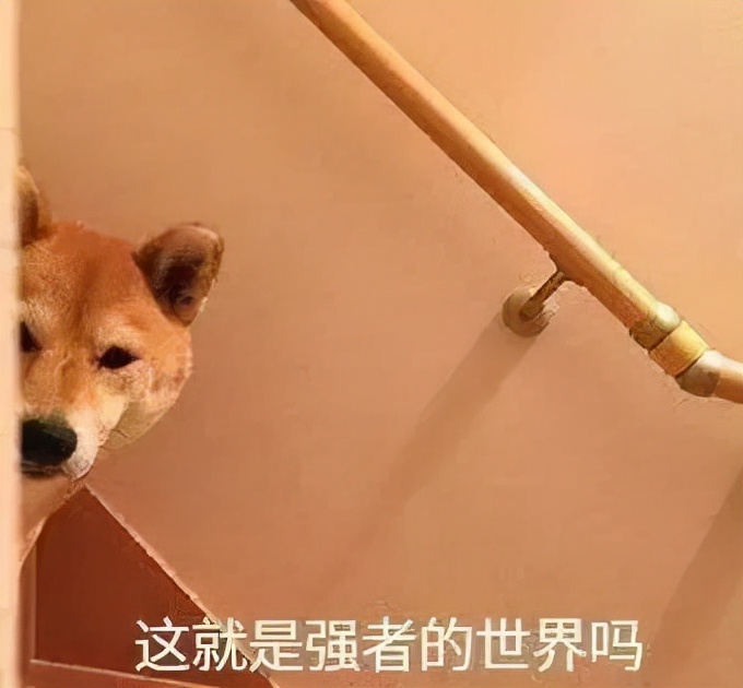 考cpa最好考几门,考cpa有什么用