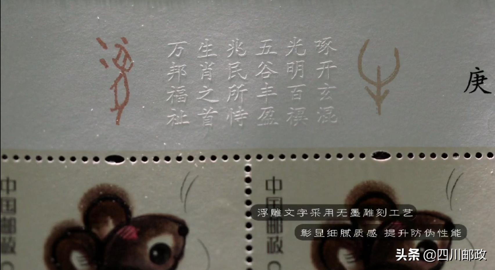 萌翻了所有的视频,萌翻了仓鼠视频