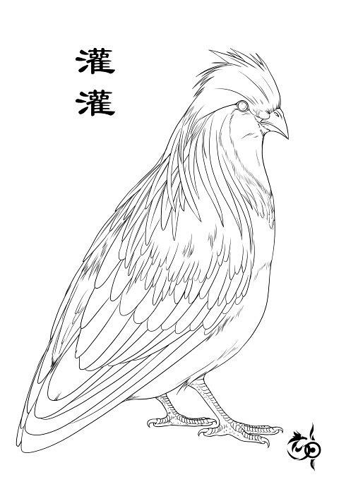 中国古代山海经美丽的异兽,山海经异兽录圣麒麟和玄武哪个好